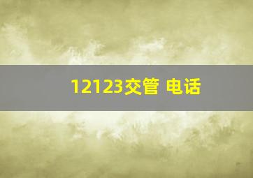 12123交管 电话